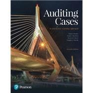 Auditing Cases: An Interactive Learning Approach [Rental Edition]