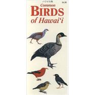 Common Birds Of Hawai'i