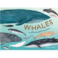 Whales An Illustrated Celebration