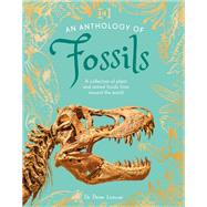 An Anthology of Fossils A Collection of Plant and Animal Fossils From Around the World