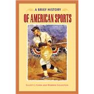 A Brief History of American Sports