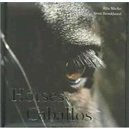 Horses/Caballos: Breeds - Leisure Time - Sports/Razas - Ocio - Deporte