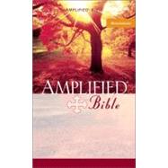 Amplified Mass Market Bible