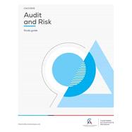 Audit and Risk version 2