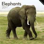 Elephants 2011 Calendar