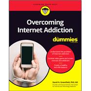 Overcoming Internet Addiction For Dummies