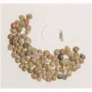 Vacation Bible School (Vbs) 2016 Surf Shack Shell Bracelet Kit: Pkg of 6: Catch the Wave of God's Amazing Love