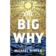 Big Why : A Novel