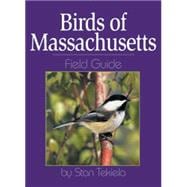 Birds of Massachusetts Field Guide