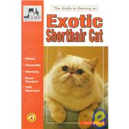 The Guide to Owning an Exotic Shorthair Cat