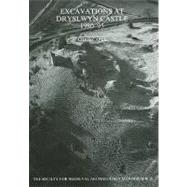 Excavations At Dryslwyn Castle 1980-1995