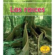 Las raices / Roots