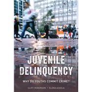Juvenile Delinquency Why Do Youths Commit Crime?