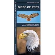 Birds of Prey A Folding Pocket Guide to Familiar North American Species