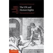 The UN and Human Rights: Who Guards the Guardians?