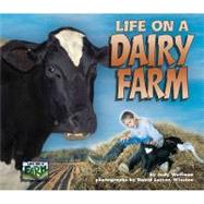 Life on a Dairy Farm