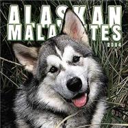 Alaskan Malamutes 2004 Calendar
