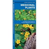 Medicinal Plants A Folding Pocket Guide to Familiar Widespread Species