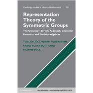 Representation Theory of the Symmetric Groups