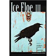 Ice Floe III