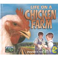Life on a Chicken Farm