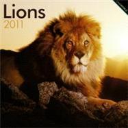 Lions 2011 Calendar