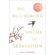 The Soul-Soaring Virtues of Separation 111 Learnings to Heal Your Heart and Help You Fly