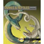 Snakes and Reptiles