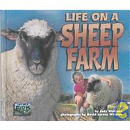 Life on a Sheep Farm
