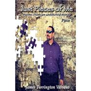 Just Pieces of Me