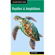 Falcon Pocket Guide: Reptiles & Amphibians