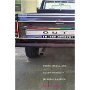 Out in the Country : Youth, Media, and Queer Visibility in Rural America