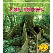 Las raices / Roots