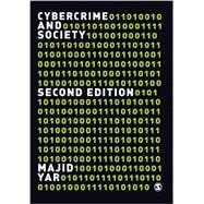 Cybercrime and Society