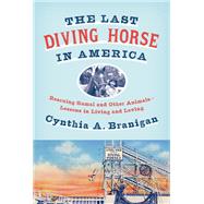 The Last Diving Horse in America Rescuing Gamal and Other Animals--Lessons in Living and Loving