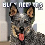 Blue Heelers 2004 Calendar