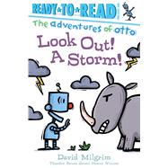 Look Out! A Storm! Ready-to-Read Pre-Level 1