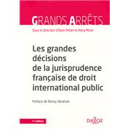 Les grandes décisions de la jurisprudence française de DIPublic (N) - 1re édition