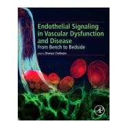 Endothelial Signalling in Vascular Dysfunction and Disease