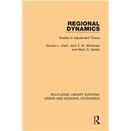 Regional Dynamics: Studies in Adjustment Theory