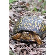 Box Turtle Posing Lined Journal