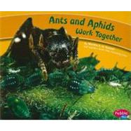 Ants and Aphids Work Together
