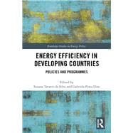 Energy Efficiency in Developing Countries
