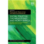Social Policy in the Middle East and North Africa