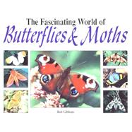 The Fascinating World of Butterflies & Moths