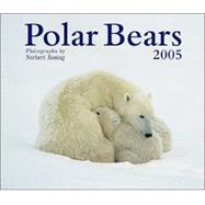 Polar Bears 2005 Calendar