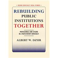 Rebuilding Public Institutions Together