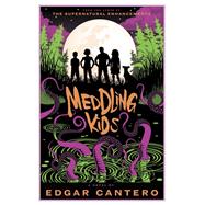 Meddling Kids A Novel