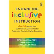 Enhancing Inclusive Instruction