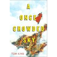 A Once Crowded Sky A Novel